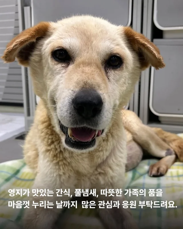 복수를 빼고, 차오르고, 또 빼고... #위액트영지 현장 사진