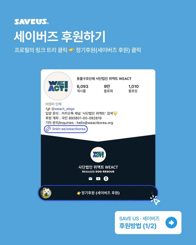 안락사위기동물을 구하는 세이버즈 프로젝트 현장 사진
