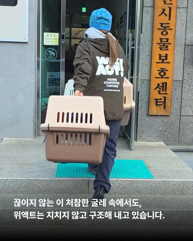 안락사위기동물을 구하는 세이버즈 프로젝트 현장 사진