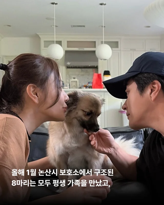 안락사위기동물을 구하는 세이버즈 프로젝트 현장 사진