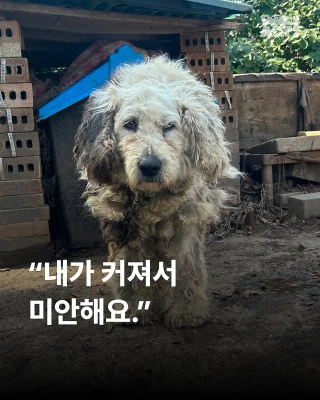 내가 커져서 미안해요 #위액트마린 현장 사진
