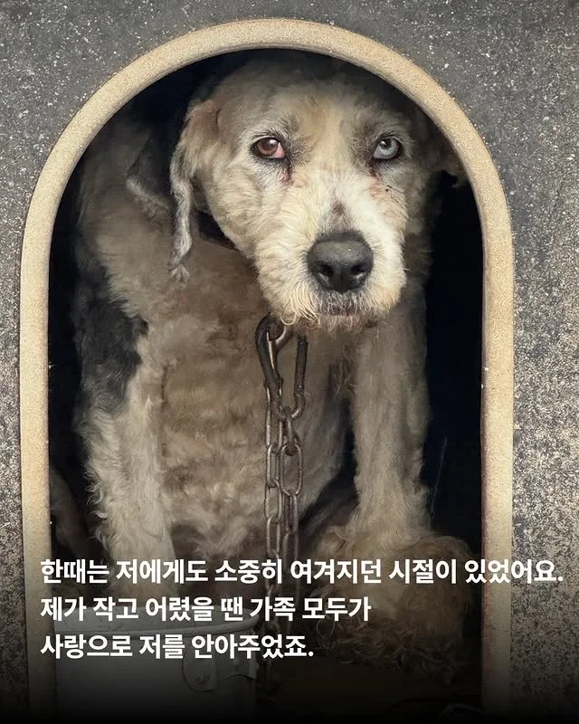 내가 커져서 미안해요 #위액트마린 현장 사진