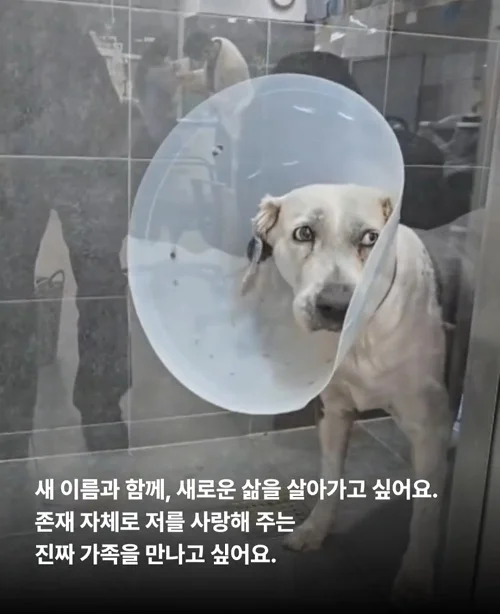 내가 커져서 미안해요 #위액트마린 현장 사진