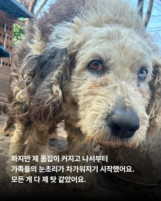 내가 커져서 미안해요 #위액트마린 현장 사진