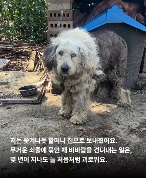 내가 커져서 미안해요 #위액트마린 현장 사진