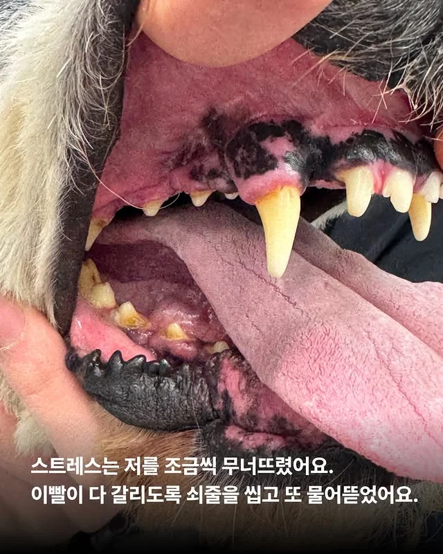 내가 커져서 미안해요 #위액트마린 현장 사진