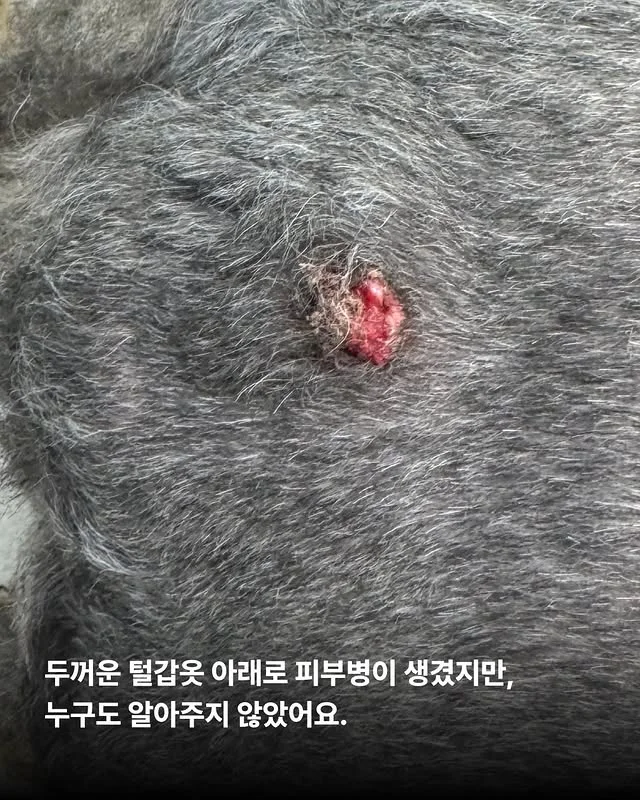 내가 커져서 미안해요 #위액트마린 현장 사진