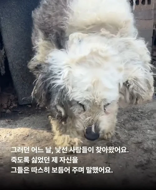 내가 커져서 미안해요 #위액트마린 현장 사진