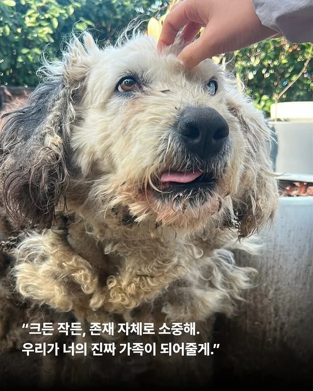 내가 커져서 미안해요 #위액트마린 현장 사진