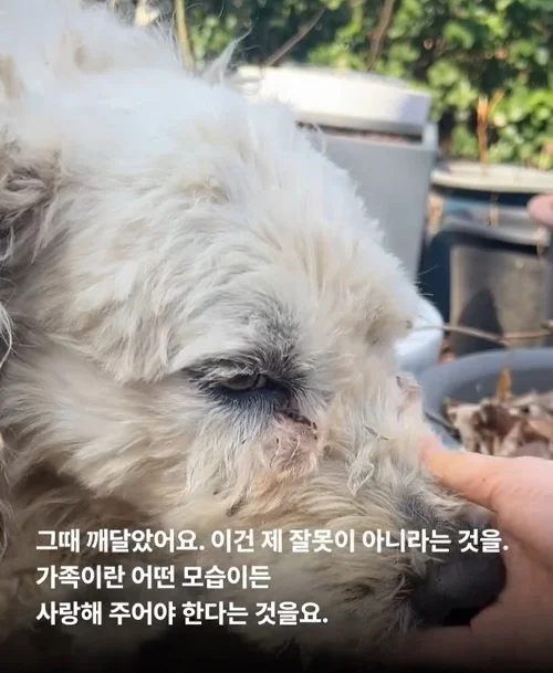 내가 커져서 미안해요 #위액트마린 현장 사진