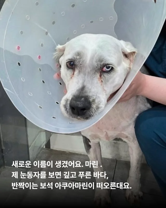 내가 커져서 미안해요 #위액트마린 현장 사진