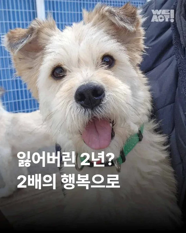 잃어버린 2년? 2배의 행복 #위액트두쿠 현장 사진