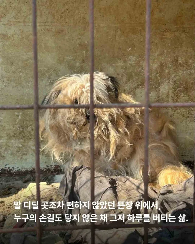 잃어버린 2년? 2배의 행복 #위액트두쿠 현장 사진