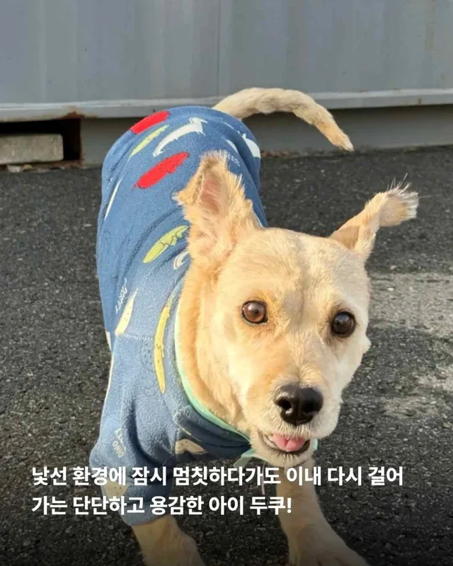 잃어버린 2년? 2배의 행복 #위액트두쿠 현장 사진
