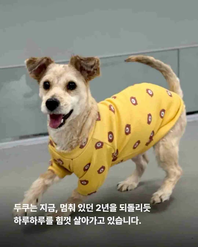 잃어버린 2년? 2배의 행복 #위액트두쿠 현장 사진