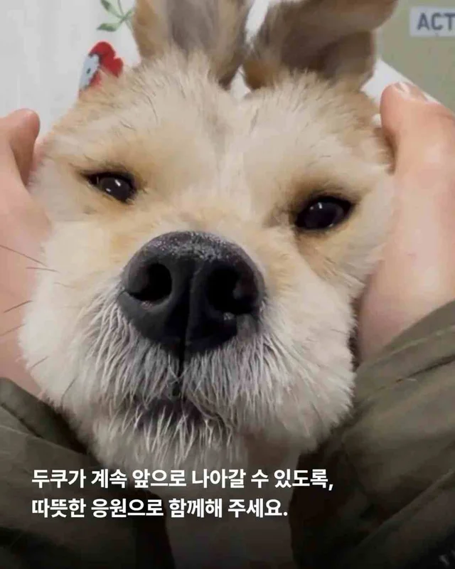 잃어버린 2년? 2배의 행복 #위액트두쿠 현장 사진