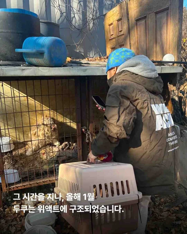 잃어버린 2년? 2배의 행복 #위액트두쿠 현장 사진
