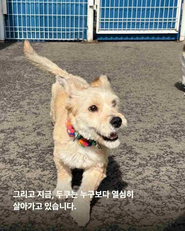잃어버린 2년? 2배의 행복 #위액트두쿠 현장 사진