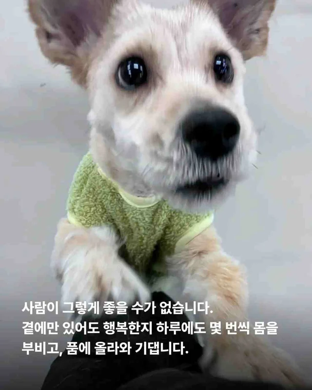잃어버린 2년? 2배의 행복 #위액트두쿠 현장 사진