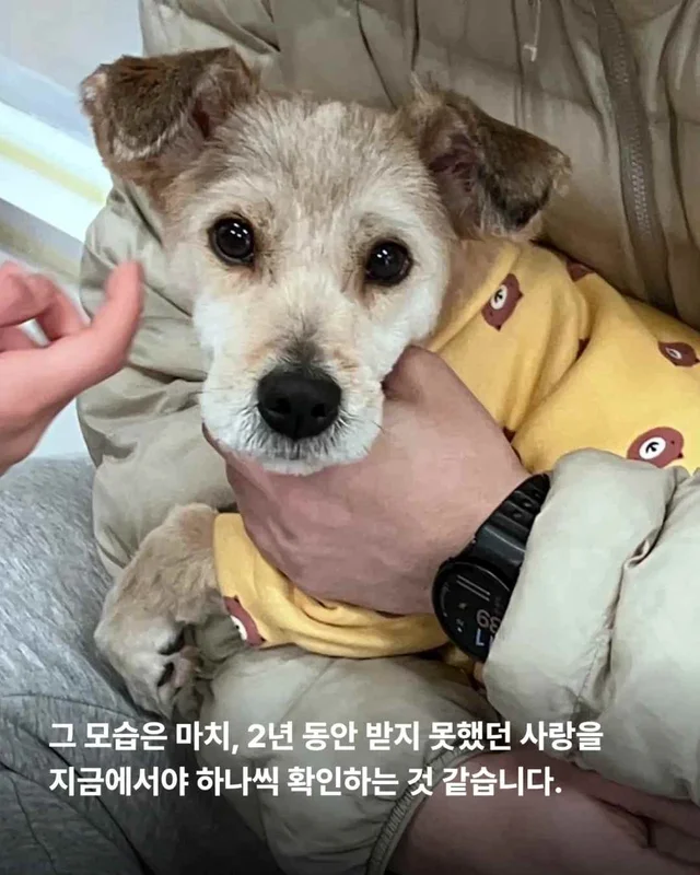 잃어버린 2년? 2배의 행복 #위액트두쿠 현장 사진