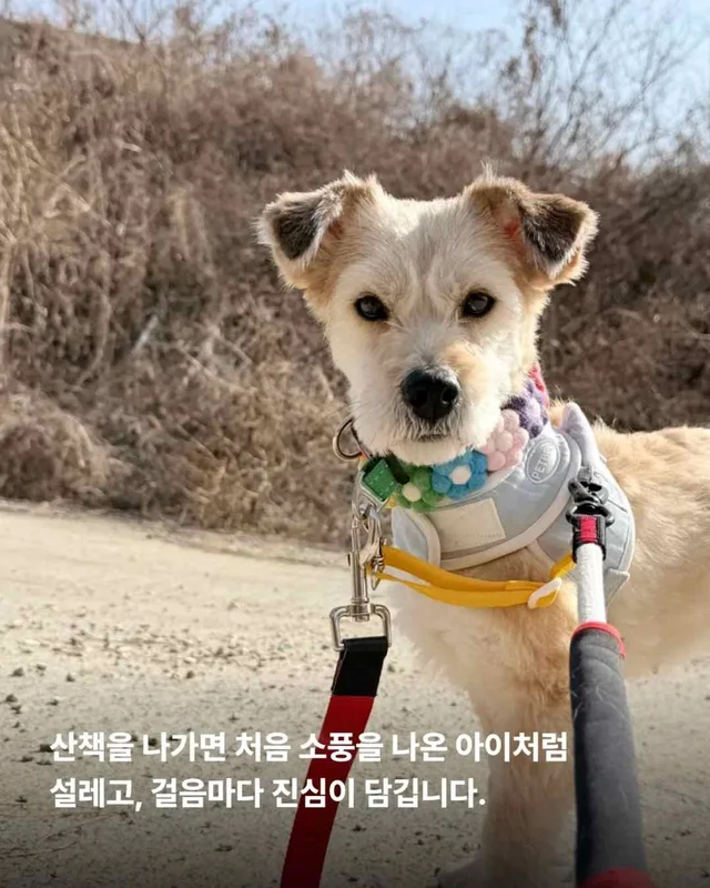 잃어버린 2년? 2배의 행복 #위액트두쿠 현장 사진