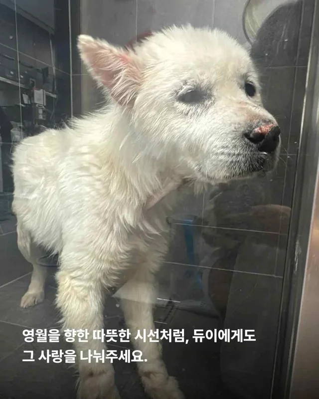 똥밭 위에서 홀로 가려움과 싸우던 아이 현장 사진
