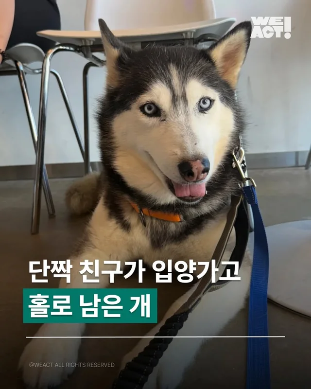 위액트 호시 현장 사진