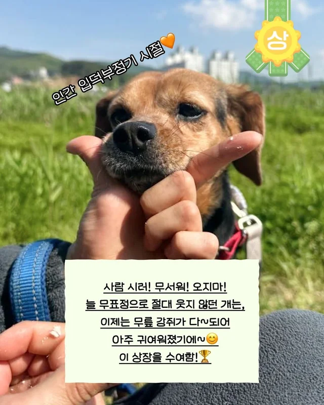 번식장 구조견에게 표정이 생기는 과정 #위액트토비 현장 사진
