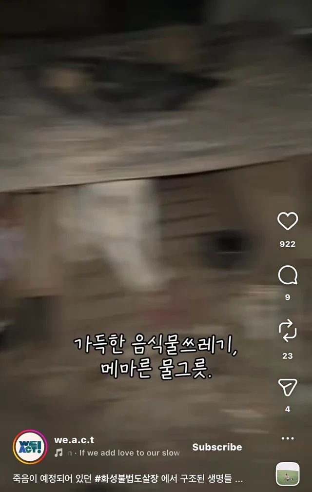 죽음이 예정되어 있던 #화성불법도살장 에서 구조된 .. 현장 사진