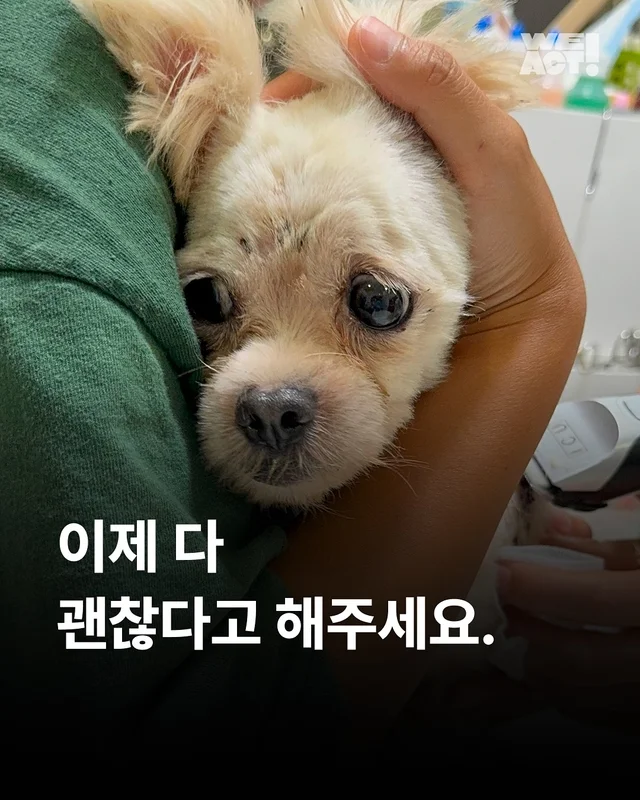 애니멀호더학대 현장 사진