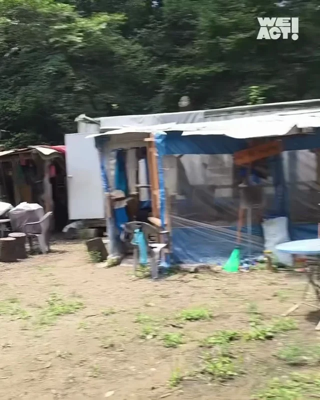 개트럭학대 현장 사진