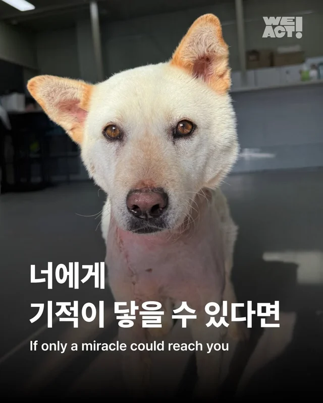 너에게 기적이 닿을 수 있다면 현장 사진