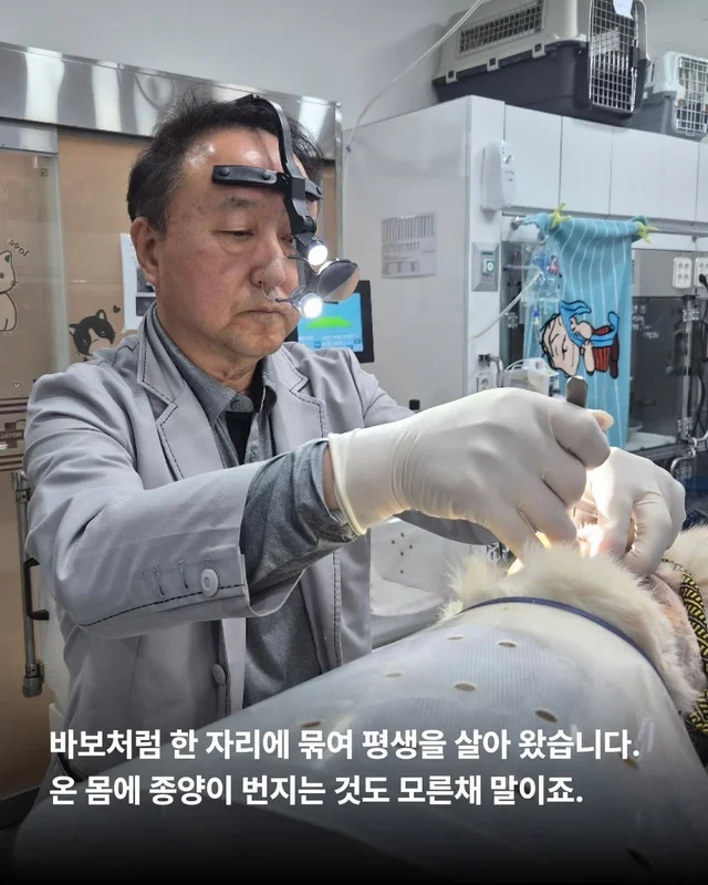 너에게 기적이 닿을 수 있다면 현장 사진