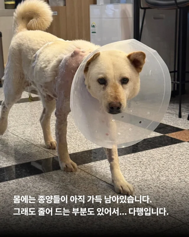 너에게 기적이 닿을 수 있다면 현장 사진