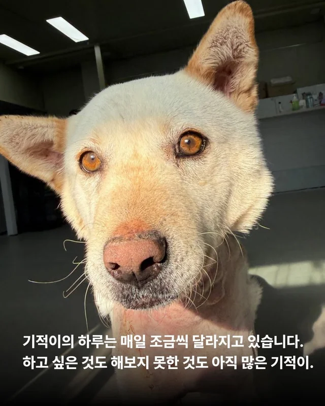 너에게 기적이 닿을 수 있다면 현장 사진