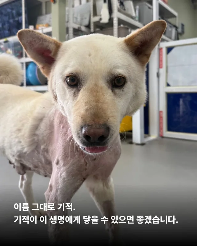 너에게 기적이 닿을 수 있다면 현장 사진