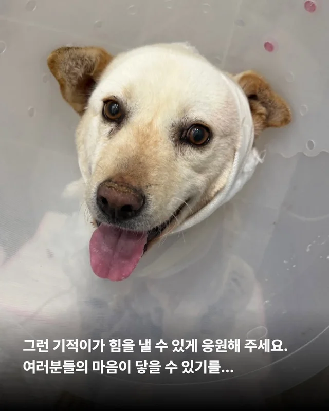 너에게 기적이 닿을 수 있다면 현장 사진
