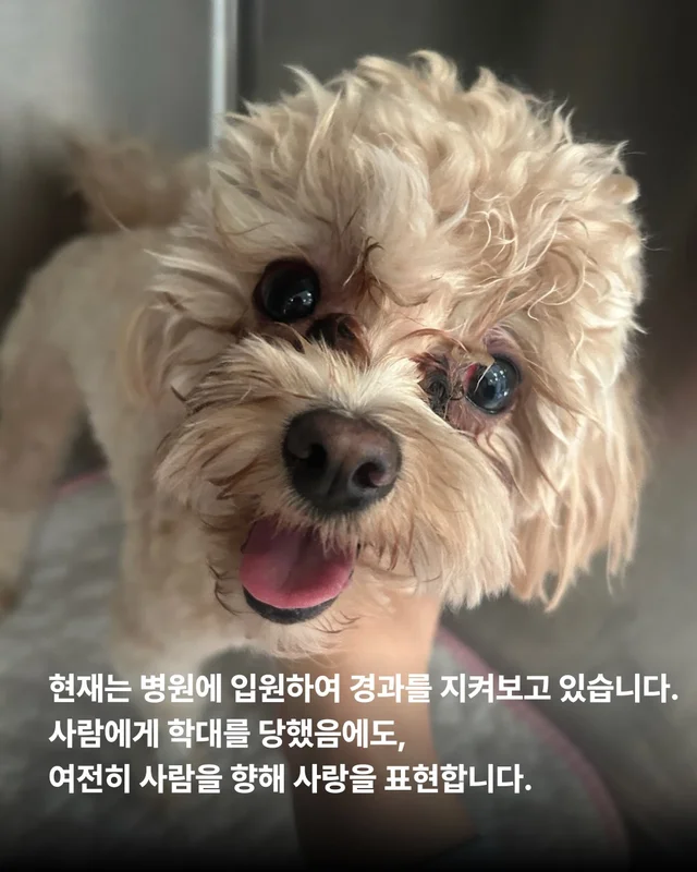 파주동물학대 현장 사진