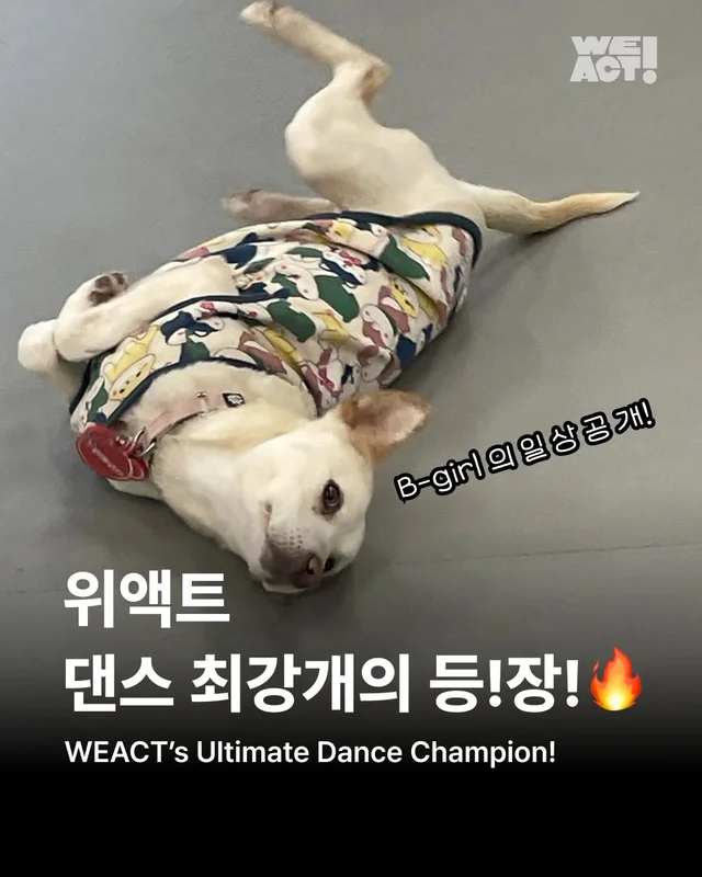 위액트 댄스 최강 개의 등!장! #위액트예원 #위액트보.. 현장 사진