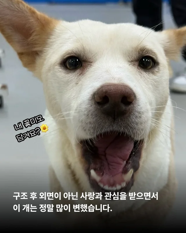 위액트 댄스 최강 개의 등!장! #위액트예원 #위액트보.. 현장 사진
