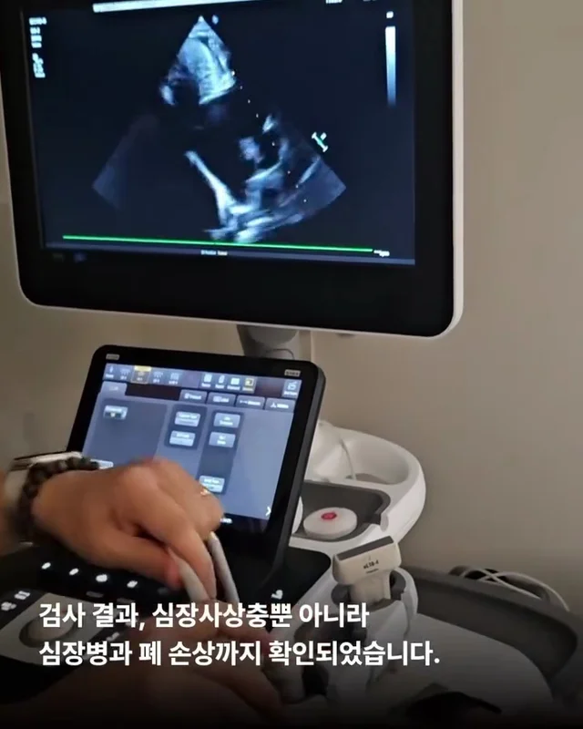 당진방치학대 현장 사진