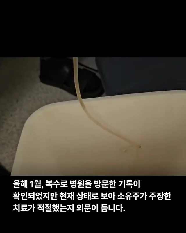 당진방치학대 현장 사진
