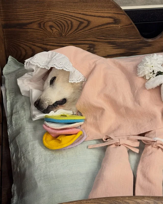 눈부시게 빛나던 무이, 안녕을 고합니다. #위액트무이 현장 사진