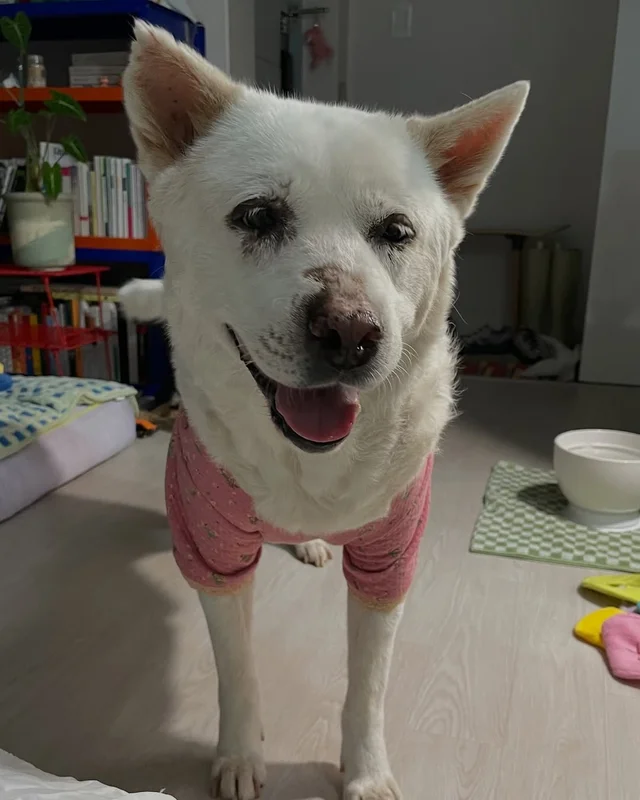 눈부시게 빛나던 무이, 안녕을 고합니다. #위액트무이 현장 사진