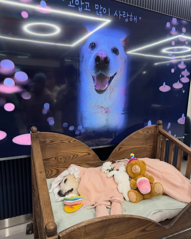 눈부시게 빛나던 무이, 안녕을 고합니다. #위액트무이 현장 사진