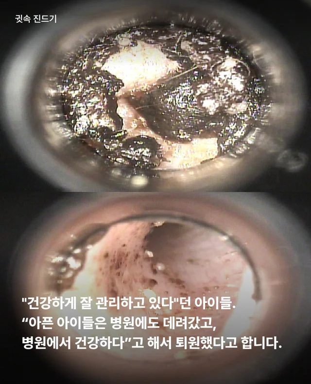 마포구 불법 신종 펫숍 현장 사진