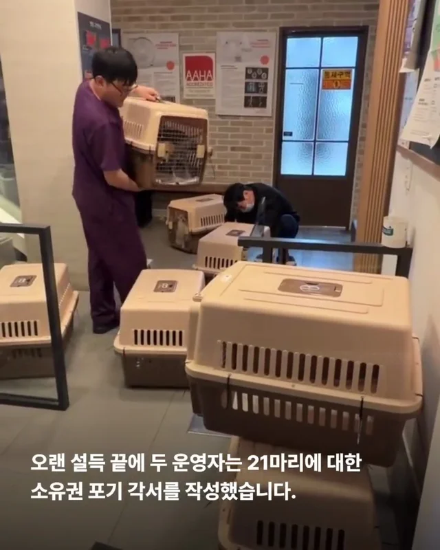 마포구 불법 신종 펫숍 현장 사진