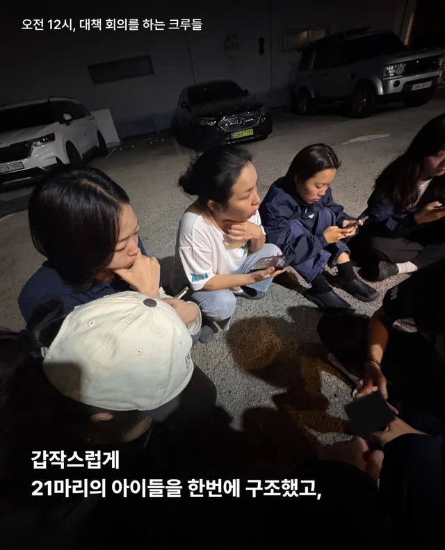 마포구 불법 신종 펫숍 현장 사진