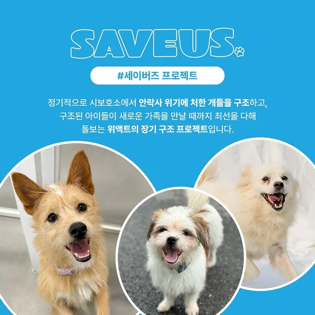 세이버즈 프로젝트_완주군 보호소 241205 현장 사진