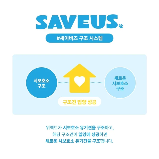 세이버즈 프로젝트_완주군 보호소 241205 현장 사진